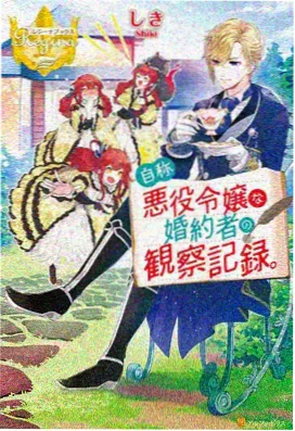 黑兽外传暗影骑士